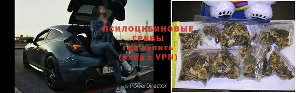 не бодяженный Магас