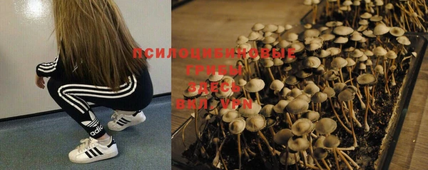 кристаллы Магадан